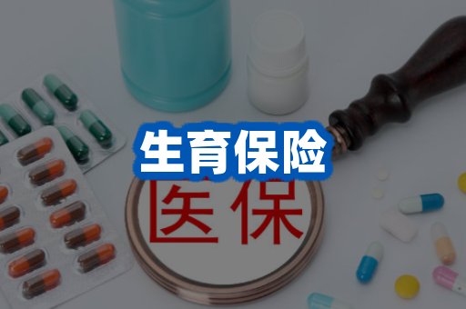 生育保险案例